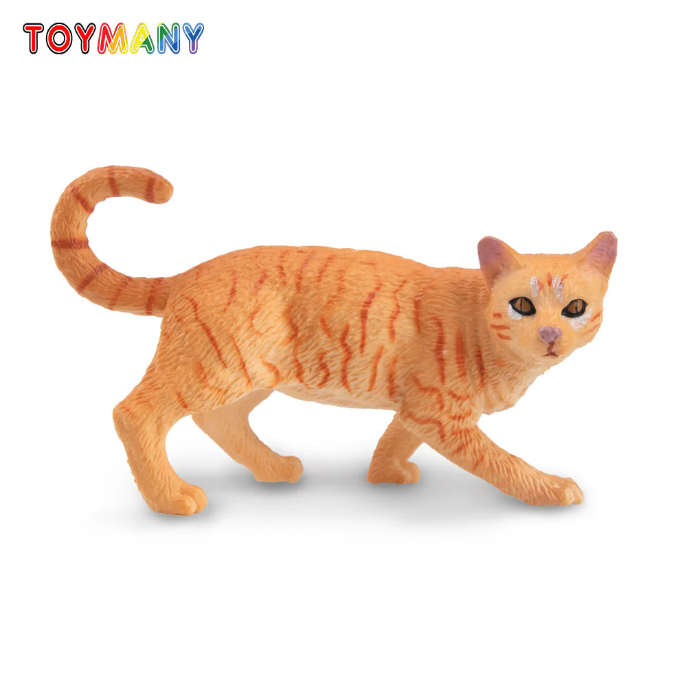 Kids First Education - Toymany محاكاة تجول البرتقال العانس القط